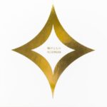 輝けるもの/ACIDMAN