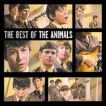 BEST OF THE ANIMALS/アニマルズ