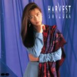 HARVEST/工藤静香