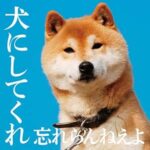 犬にしてくれ/ネクライトーキー