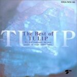 best of tulip