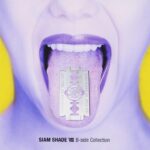 SIAM SHADE VII~B-side COLLECTION~