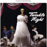 TWINKLE NIGHT/TM NETWORK