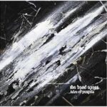 Adze of penguin/the band apart
