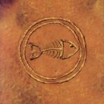Fishbone 101 Nuttasaurusmeg Fossil Fuelin