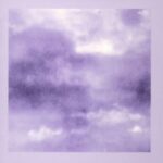 SWAN SONG/ART-SCHOOL
