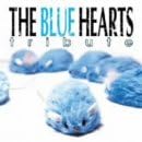 THE BLUE HEARTS TRIBUTE