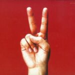 birdy/bloodthirsty butchers