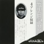 妄想日記/AYABIE