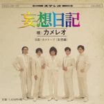 妄想日記/カメレオ
