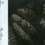 ネガとポジ /
 Plastic Tree
