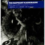 真夜中のヒーロー - エレファントカシマシ