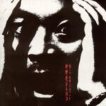 遠くで火事を見ていた/仲野茂バンド