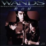 時の扉/WANDS